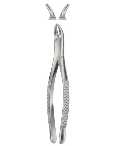 Tooth Forceps for Children, American Pattern